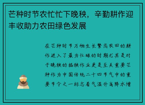 芒种时节农忙忙下晚秧，辛勤耕作迎丰收助力农田绿色发展