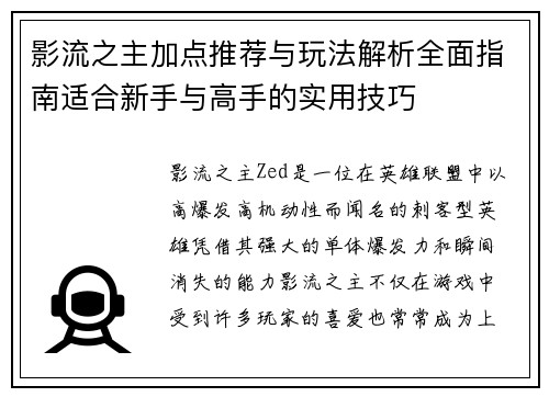 影流之主加点推荐与玩法解析全面指南适合新手与高手的实用技巧